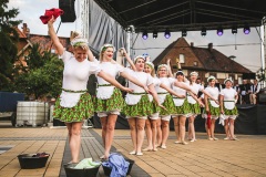 09.06.2019 Artyści Mieszkańcom - koncert