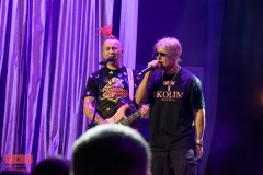 11.12.2024 Skolim - koncert